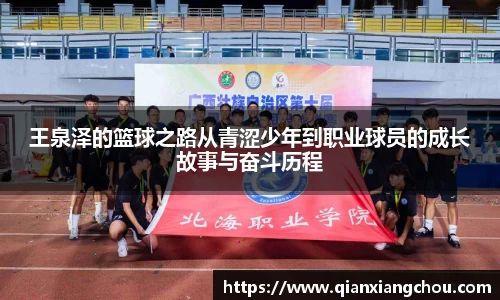 bsports官网入口