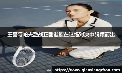 bsports官网入口