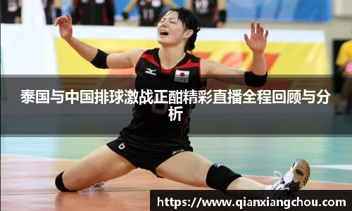 bsports官网入口